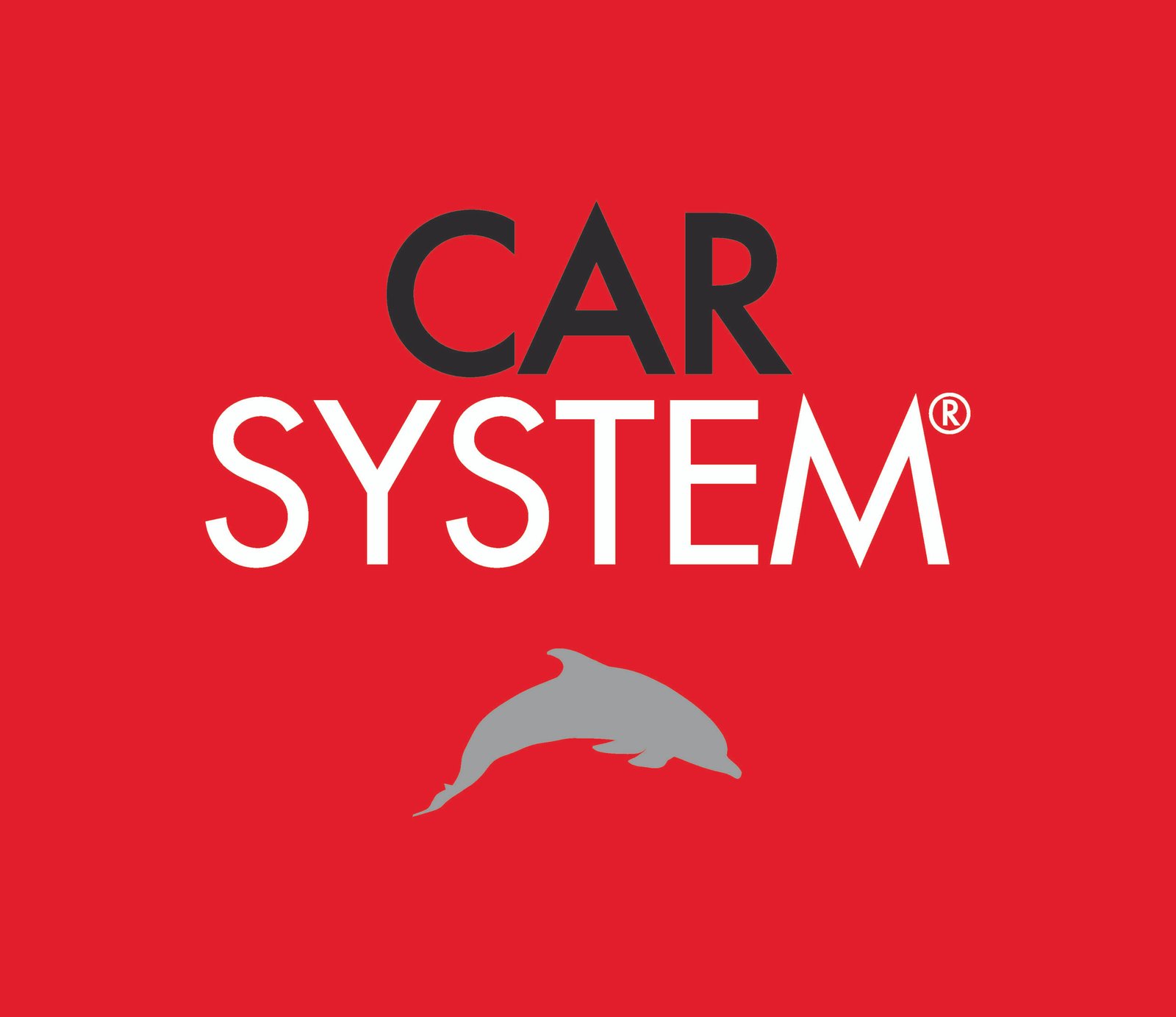 Car system
